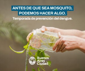 banner - Cómo prevenir el dengue